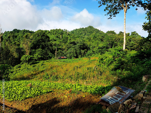 The natural scenery at the Peak of Bukit Biru Tenggarong where there are green forests, clear blue skies, fog, trees, and very beautiful buildings. photo