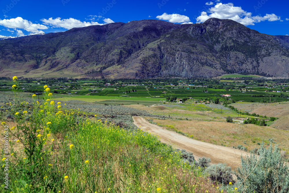 Fruit Orchard Cawston Similkameen Valley British Columbia Country Road Landscape