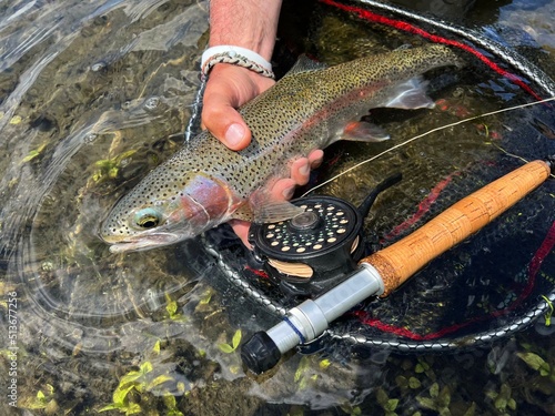 Cuadro en lienzo catch of a beautiful rainbow trout by a fly fisherman