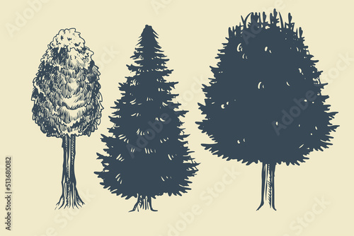 hand drawn natural decorati...