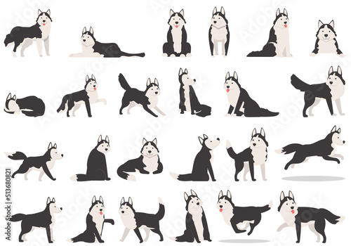 Husky icons set cartoon vector. Dog ears. Alaskan animal photo