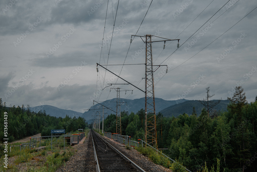 Railway track along which the train moves, conifers, woodland, nature Railway track along which the train moves, conifers, woodland, nature