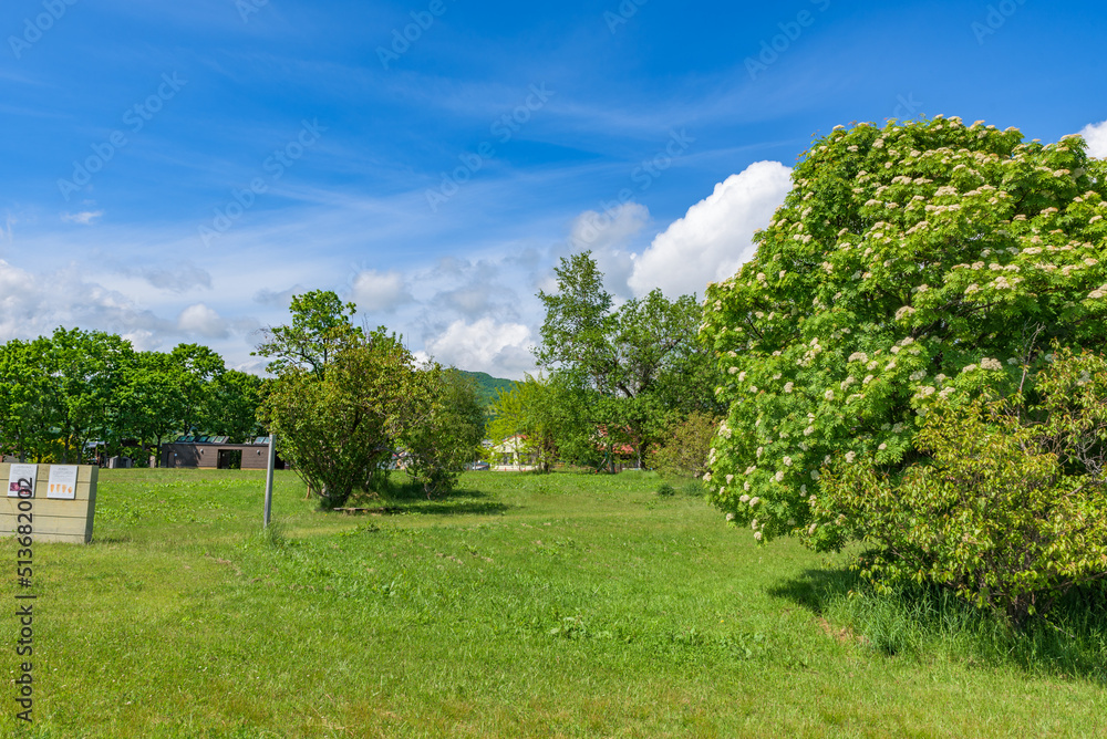 View of the Irie Kaizuka (Irie Site), a part of the View of the Irie Kaizuka (Irie Site), a part of the