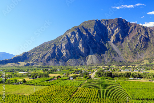 Fruit Orchard Keremeos Similkameen Valley British Columbia Landscape