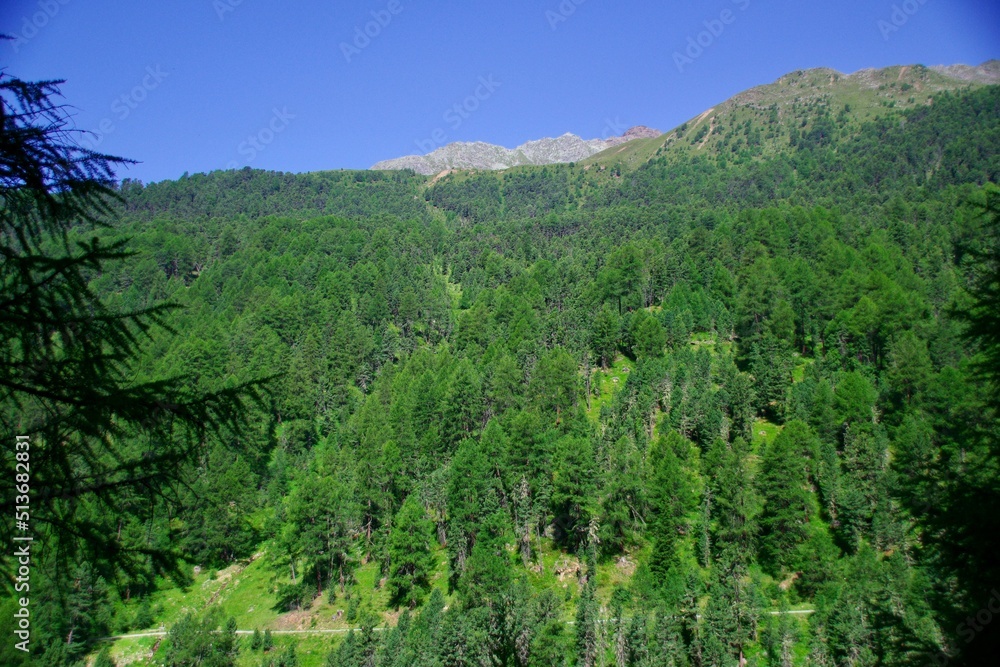 Obraz premium Matschertal