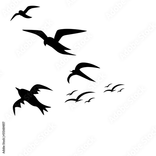 Bird, Fly, Flying birds, Aflock flying birds, Vector format