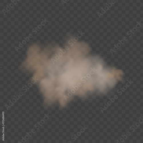 Dust cloud with dirt,cigarette smoke, smog, soil and sand particles. Realistic vector isolated on transparent background. Concept house cleaning, air pollution,big explosion,desert sandstorm.