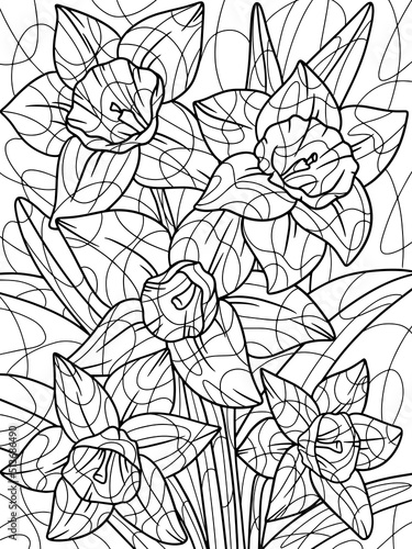 Narcissus flower, plant full page. Home plant with large leaves. Zen-tangle style. Hand draw