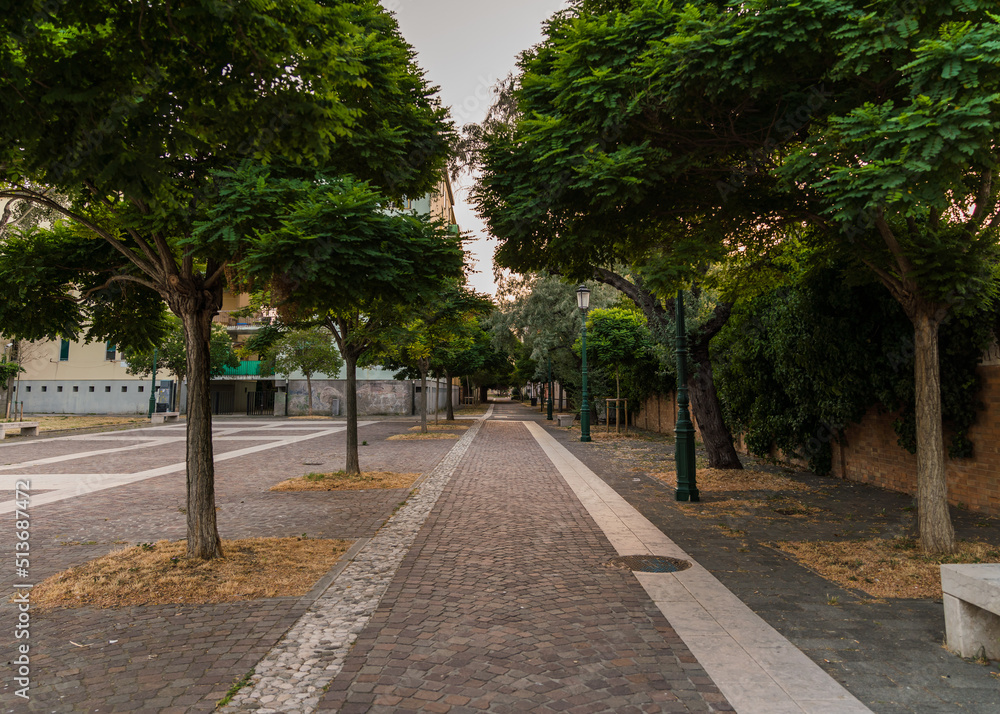 street path with trees in Italy street path with trees in Italy