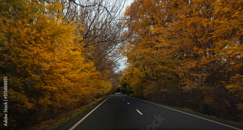 road in autumn