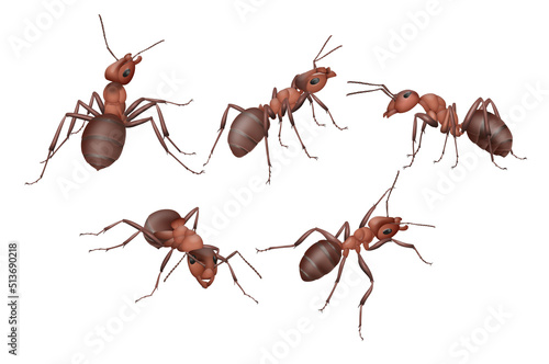 Illustration of ant workers on a white background