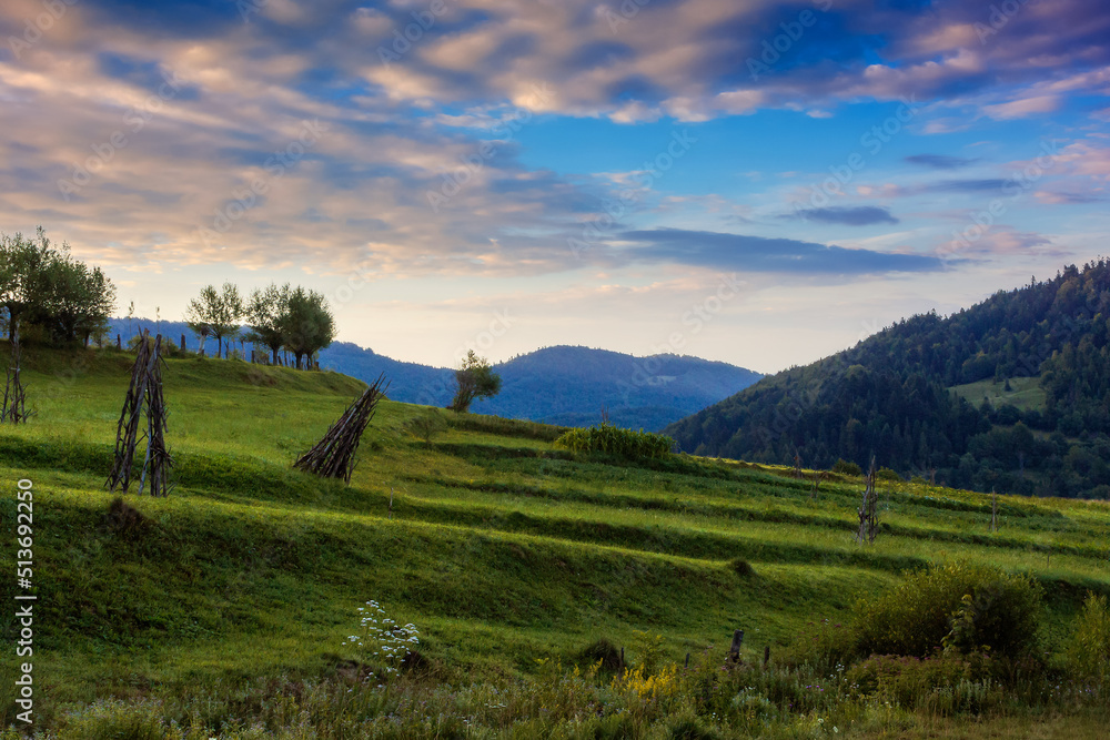 rural landscape in mountains at dawn. field on a hill beneath an autumn sky with glowing clouds. beautiful caountryside of carpathians