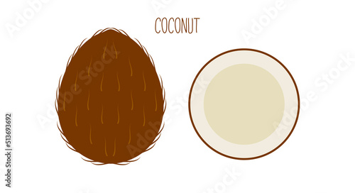 Ripe coconut with core outside and cut isolated on white. Colored fruit icon. Vector illustration.