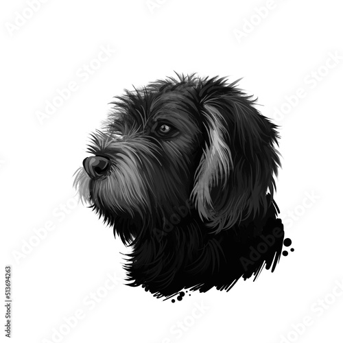 German Roughhaired Pointer dog breed digital art illustration isolated on white. Popular puppy portrait with text. Cute pet hand drawn portrait. Graphic clip art design.