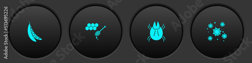 Set Kidney beans, Honeycomb with honey dipper, Parasite mite and Bacteria icon. Vector