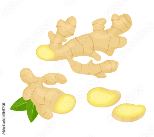 Ginger set. Whole root, slices and green leaves. Vector cartoon illustration.
