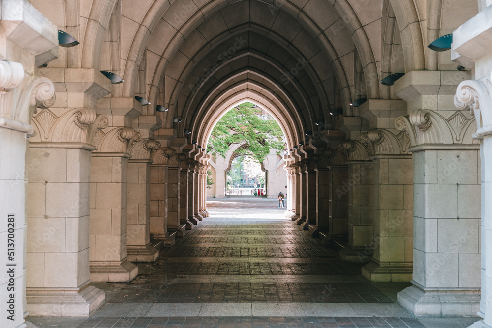 Obraz premium 東京大学 休日の本郷キャンパス