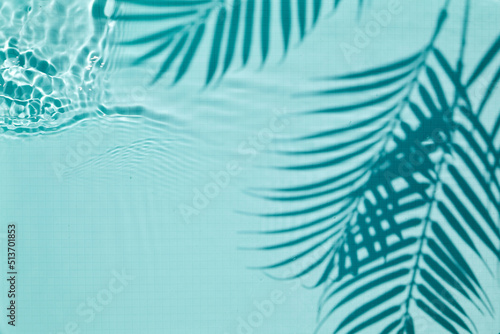 Shadow of a palm tree on a Blue water background