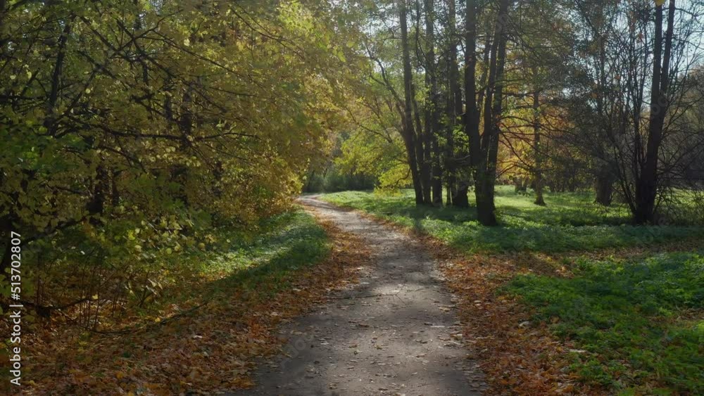St. Petersburg in autumn, a natural monument landscape park St. Petersburg in autumn, a natural monument landscape park