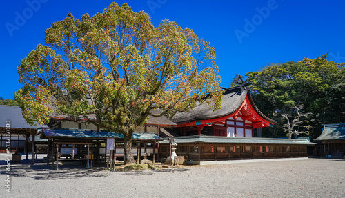 宗像大社辺津宮（福岡県宗像市）