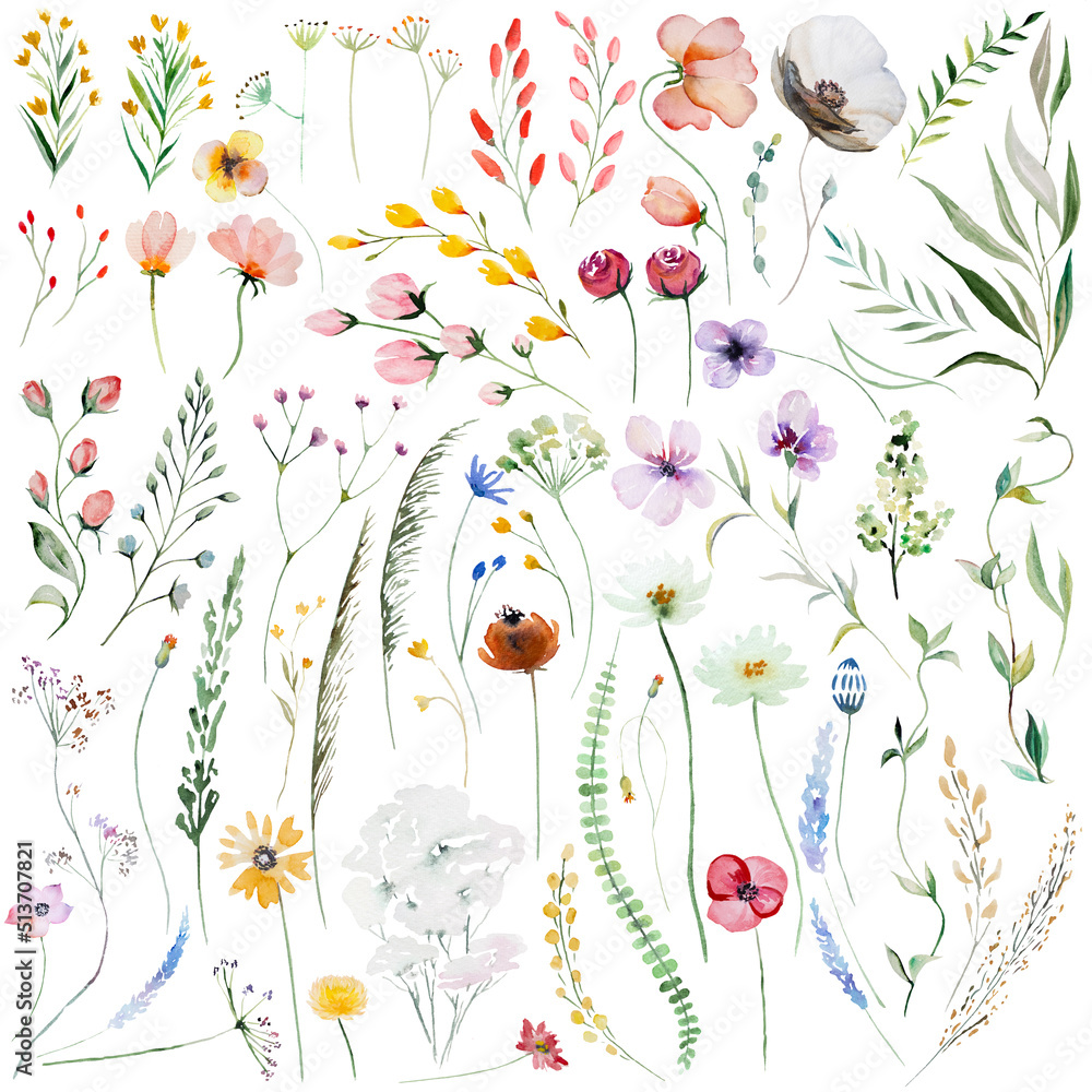 Watercolor wildflowers and leaves illustration set, wedding and greeting elements - obrazy, fototapety, plakaty 