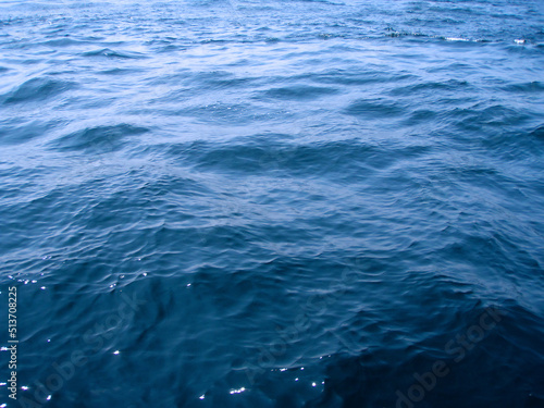 Deep blue sea surface and wave image photograph, taken from the sailing boat. 紺碧色の深い黒潮の境界線と魚群が起こす泡立ちが見える。