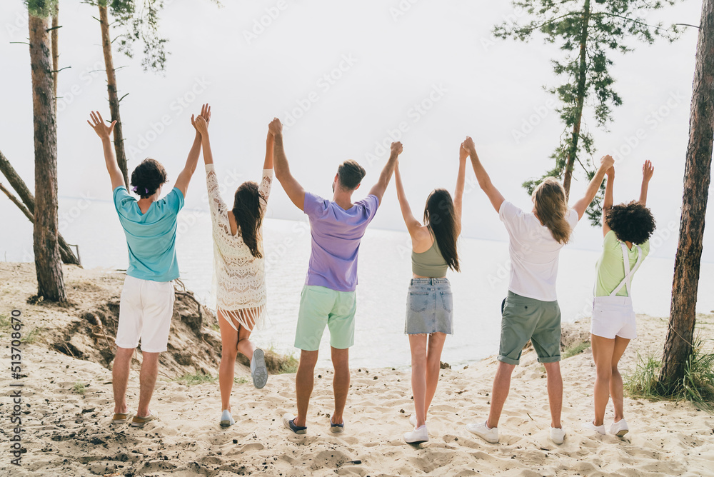Obraz premium Back rear spine photo of positive ladies guys fellows hold hands look sky rest relax outdoors