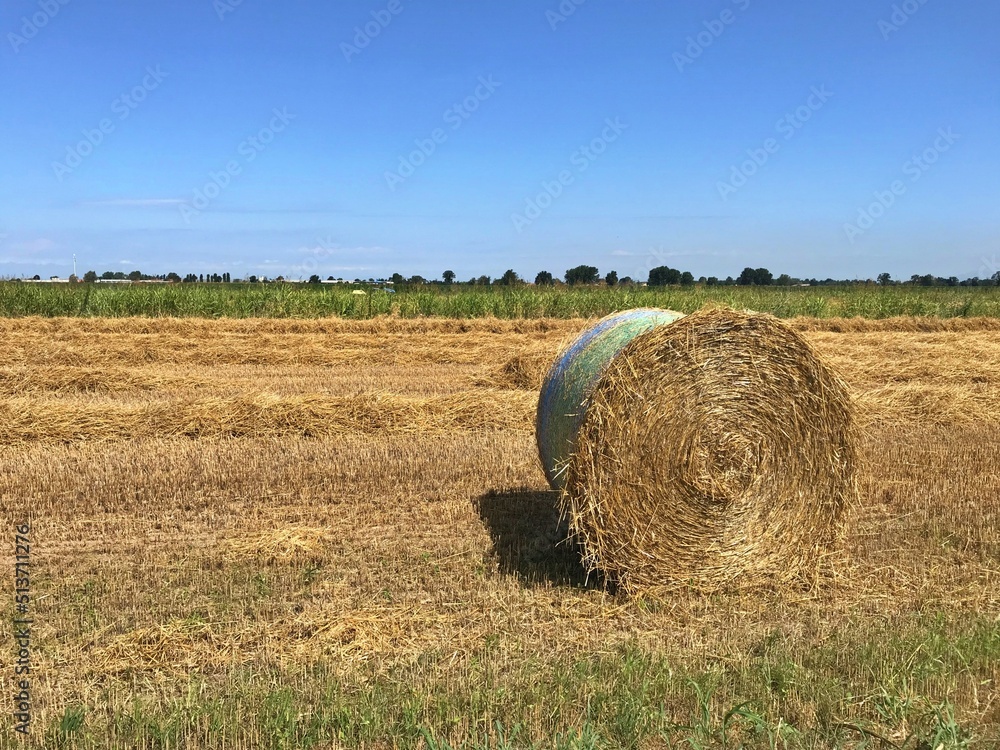 Hay bale - Italy - Morimondo