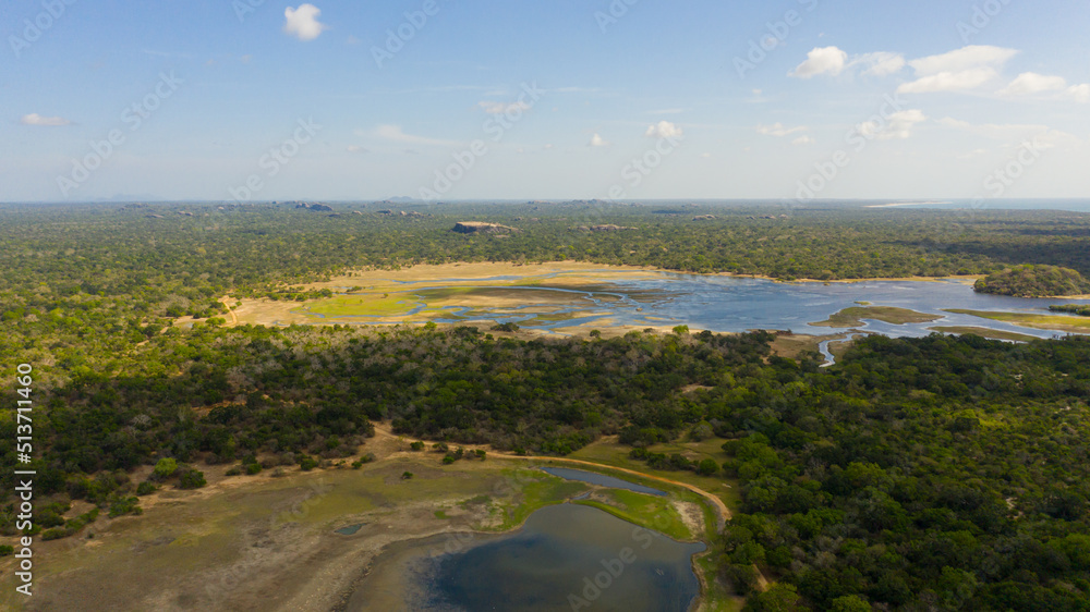 Aerial view of Lakes among the rainforest in the Kumana National Park. Sri Lanka. Tropical landscape.
