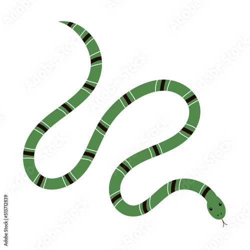 Poisonous green snake. An exotic reptile with a striped pattern. Crawling wild reptile. Tropical animal. Wildlife and fauna. Vector flat illustration isolated on white background