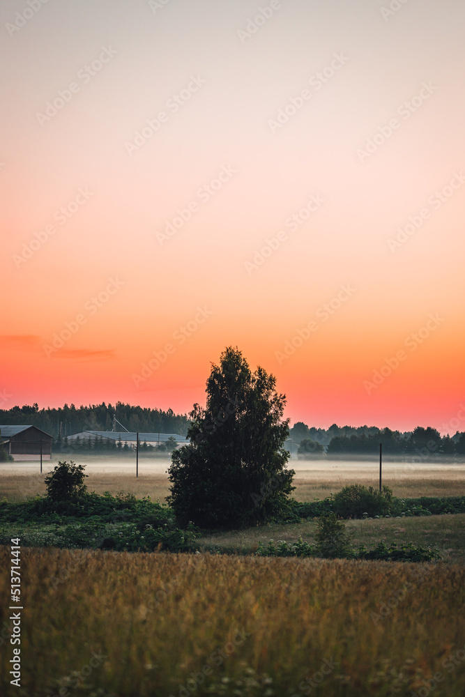 Peacful countryside view during sunset time in summer, mist over the field, summer sky