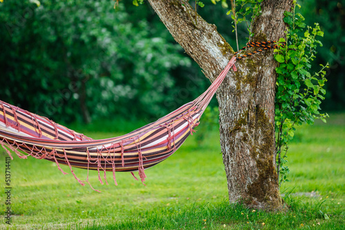 Colorful hammok hanging in garden between the trees