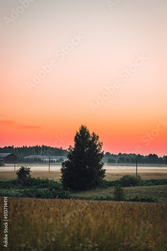 Peacful countryside view during sunset time in summer, mist over the field, summer sky