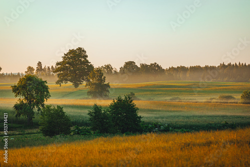 Peacful countryside view during sunset time in summer  mist over the field  summer sky