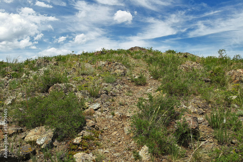 Summer steppe landscape. Grunge. Top of the hill. Path. Blue Sky. Green grass and stones