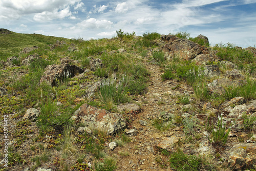 Summer steppe landscape. Grunge. Top of the hill. Path. Blue Sky. Green grass and stones