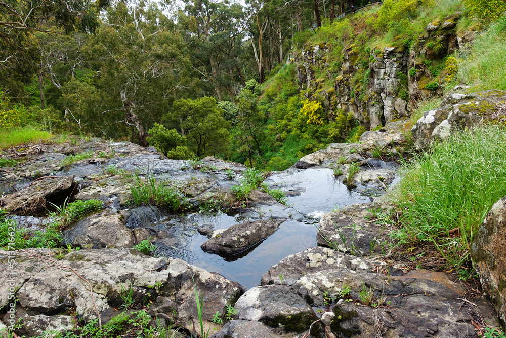 Above the falls Above the falls