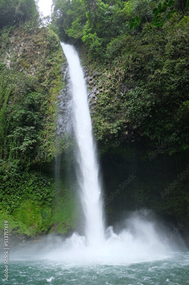 Fototapeta premium costa rica_dschungel