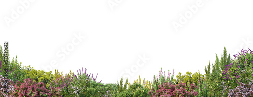 3d render flowers and shrubs with white background