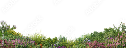 3d render flowers and shrubs with white background
