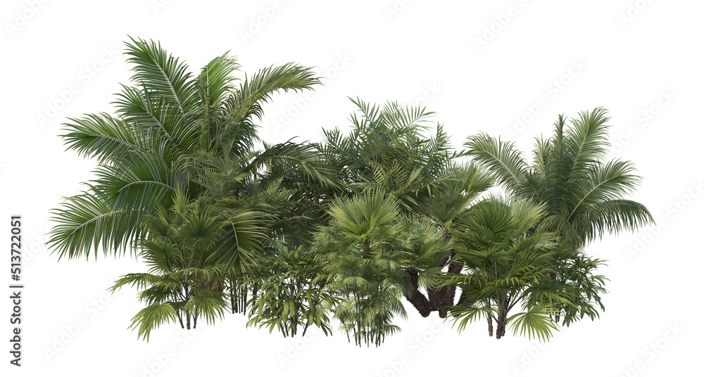 3d render shrub with white background 3d render shrub with white background