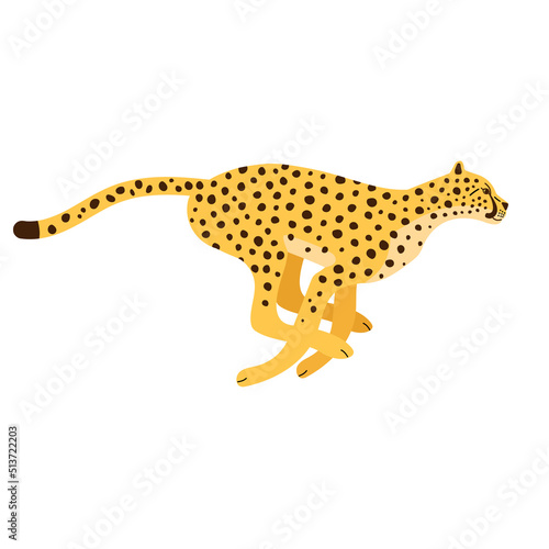 Fototapeta Naklejka Na Ścianę i Meble -  Vector flat hand drawn running cheetah isolated on white background
