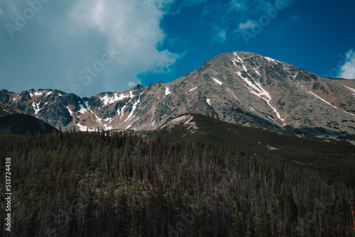View of High Tatras mountain range near Velické pleso. 