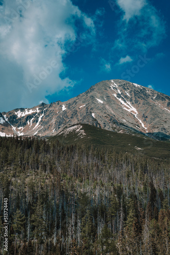 View of High Tatras mountain range near Velické pleso. 