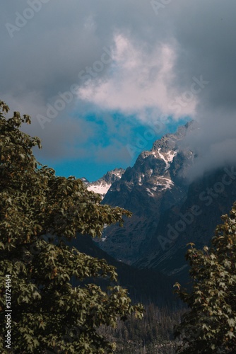 View of High Tatras mountain range near Velické pleso. 