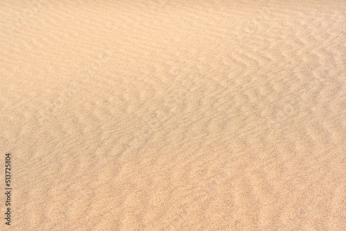 wind ripples on the sandy surface in the desert