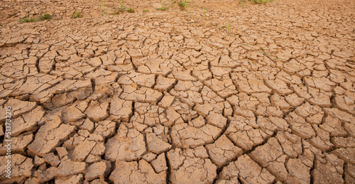 Fototapeta dry land in the dry season Drought, ground cracks, no hot water