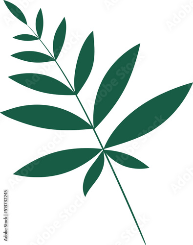 Tropical leaves clipart design illustration