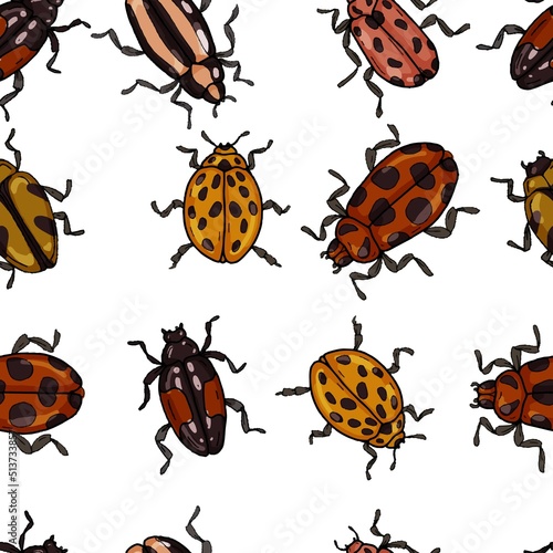 Beetles insects large set separately on a white background coloring book for children sketch doodle hand drawn © Paint_art