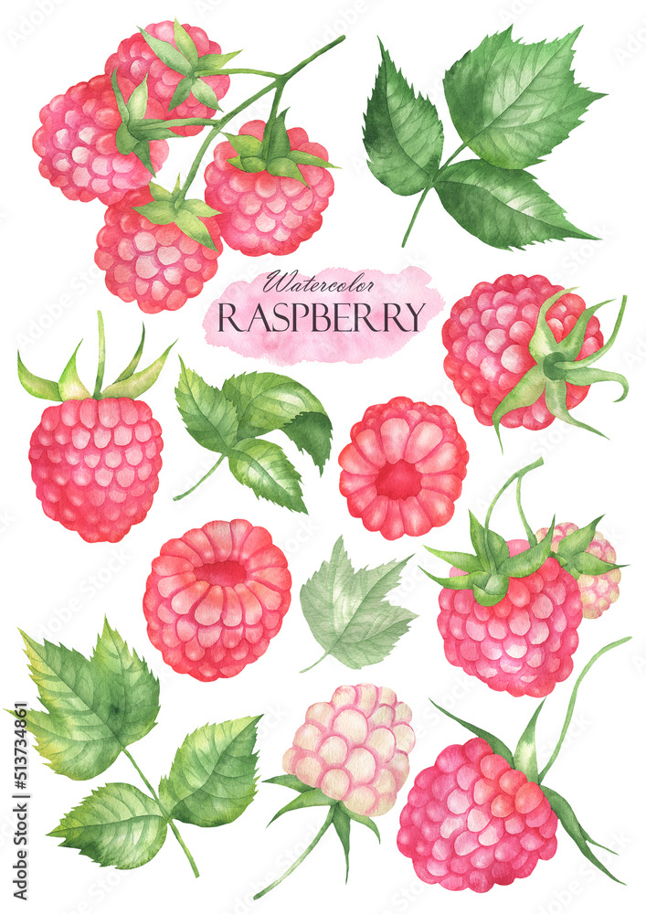 Watercolor Raspberry set Watercolor Raspberry set